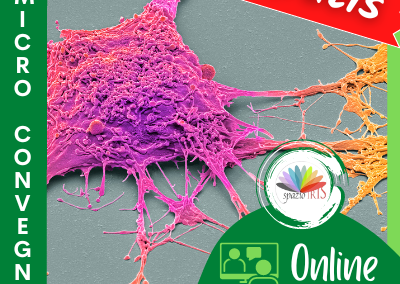 MICROCONVEGNO – IL VECCHIO E IL NUOVO IN NEUROPSICOLOGIA CLINICA