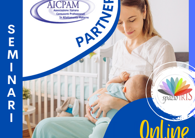 SEMINARI AICPAM 2024