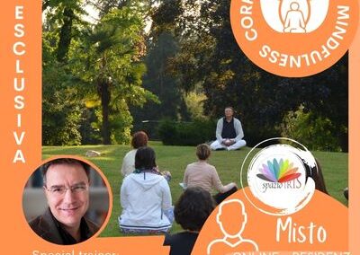 PROFESSIONAL TEACHER TRAINING IN MBCT PER IL DOC – CON FABRIZIO DIDONNA