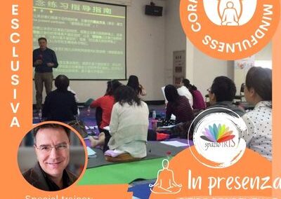ADVANCED PROFESSIONAL TEACHER TRAINING IN MBCT PER IL DOC – FABRIZIO DIDONNA
